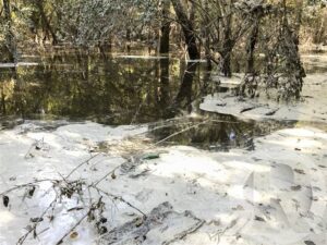 Coal ash spilled from Duke Energy HF Lee Facility discovered on the River by our Upper Neuse Riverkeeper