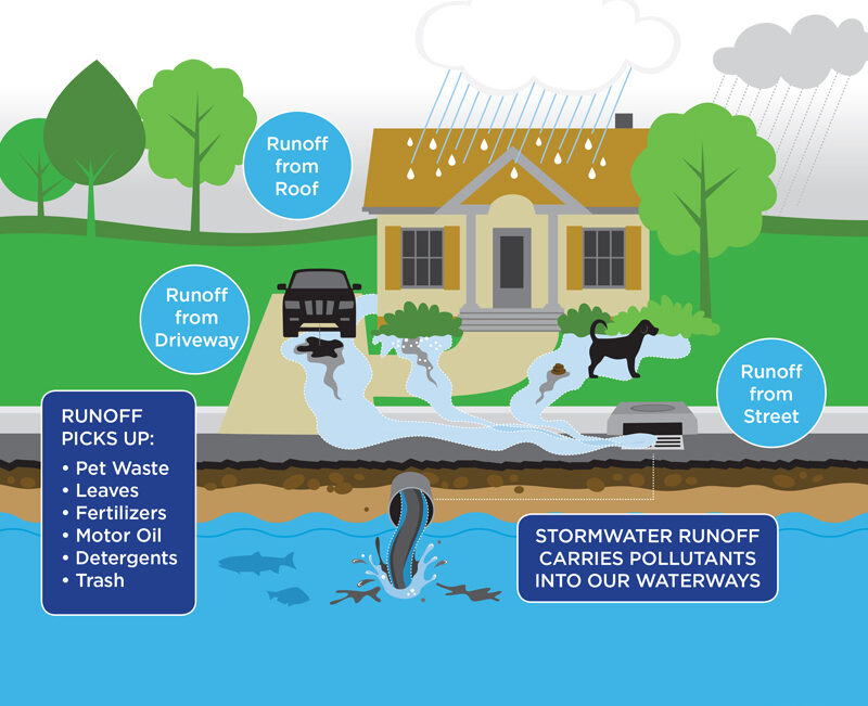 Sound Rivers - Protecting the Neuse and Tar-Pamlico rivers for 40 years