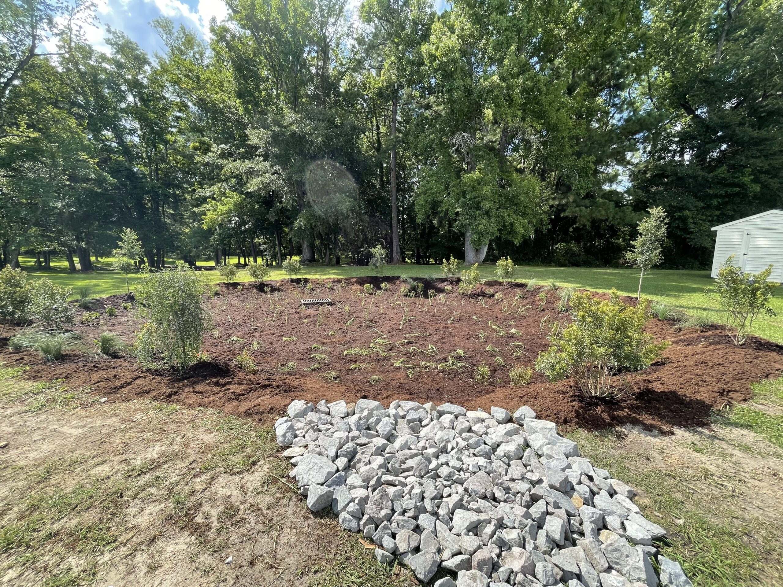 Sound Rivers Minute: Tour the new rain garden - Sound Rivers